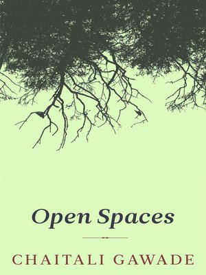 cover image of Open Spaces